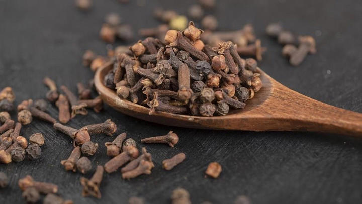 Kasus Radioaktif Cengkih Lampung Bersih Radioaktif Cs-137