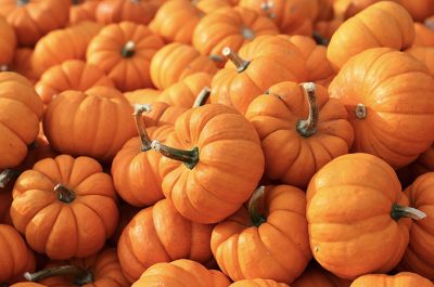 Labu Kuning Sajian Sehat Penopang Jantung Dan Pencernaan