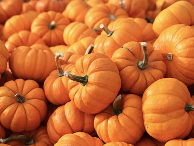 Labu Kuning Sajian Sehat Penopang Jantung Dan Pencernaan