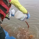 Aksi Guyur 1.500 Ecoenzym Ke Cisadane: Apa Kata Ahli?