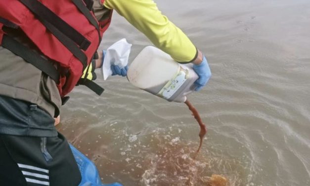 Aksi Guyur 1.500 Ecoenzym Ke Cisadane: Apa Kata Ahli?