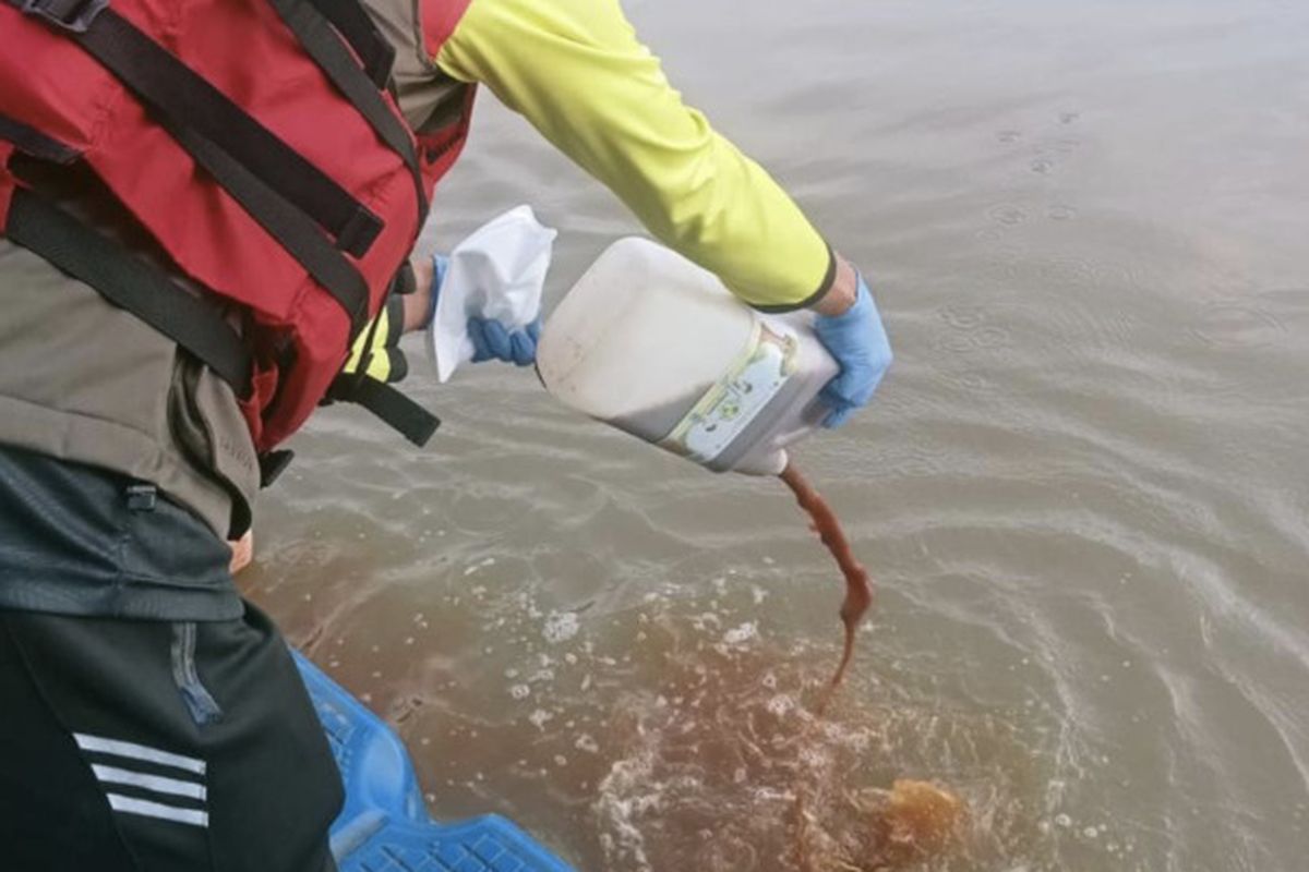 Aksi Guyur 1.500 Ecoenzym Ke Cisadane: Apa Kata Ahli?