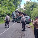 Bongkar Rahasia Sistem Pengereman Truk Saat Gagal Nanjak