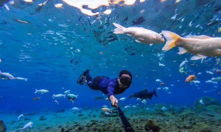 Kena Puji DPR, Umbul Ponggok Terbukti Bermanfaat Bagi Warga