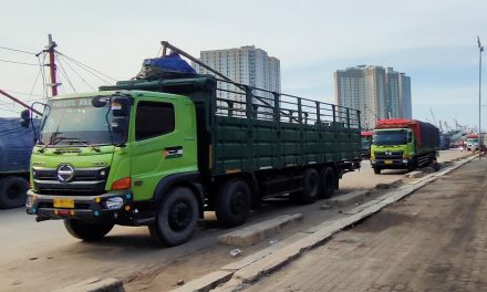 Terobsesi Cinta, Pria Asal Malaysia Nekat Masuk MDN Via Ilegal
