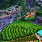 Pengen Healing? Intip Pesona Wisata Ciater Yang Bikin Betah
